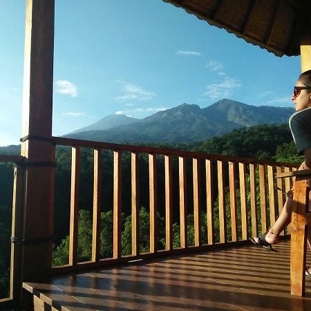 Dragonfly Senaru Lodge エクステリア 写真